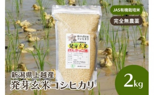 令和8年・新潟県産|JAS有機栽培アイガモ農法 コシヒカリ 発芽玄米 2kg