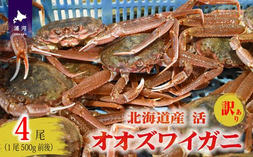 
                  訳あり 活オオズワイガニ500g前後×4尾[02-1571]
                