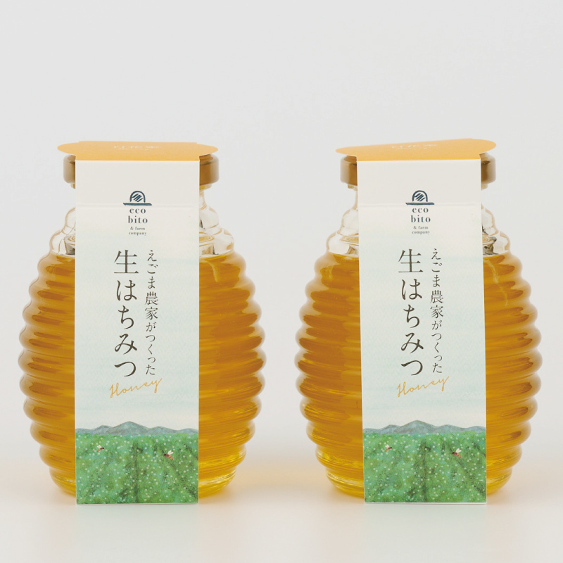 えごま農家が作った生はちみつ ギフトセット【ハチミツ 非加熱 純粋はちみつ 生はちみつ ハニー ギフト 贈答用】(H037119)