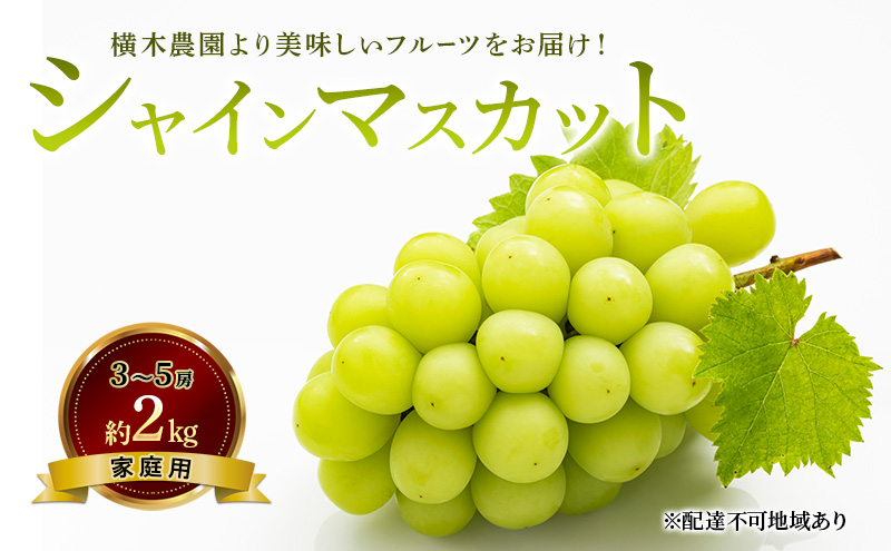 ぶどう 2026年 先行予約 シャイン マスカット 3～5房 約2kg 家庭用 ブドウ 葡萄  岡山県産 国産 フルーツ 果物 横木農園 ジューシー 種無し