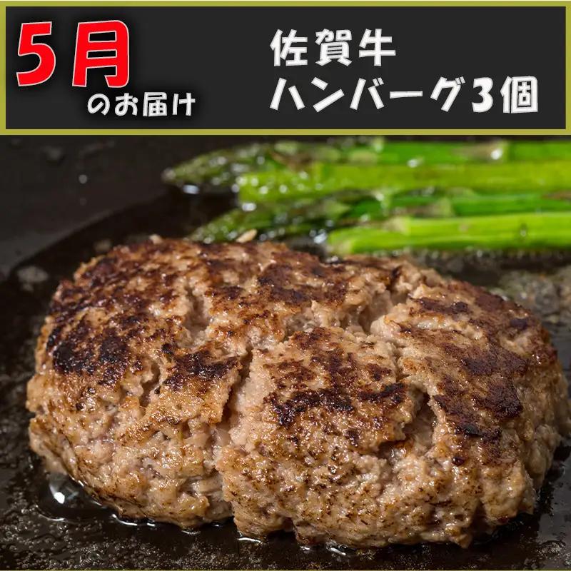 【定期便全6回】佐賀牛定期便(カルビ・ロース・ハンバーグ・サーロイン・モモブロック・ローストビーフ)奇数月にお届けします! ステーキ ハンバーグ