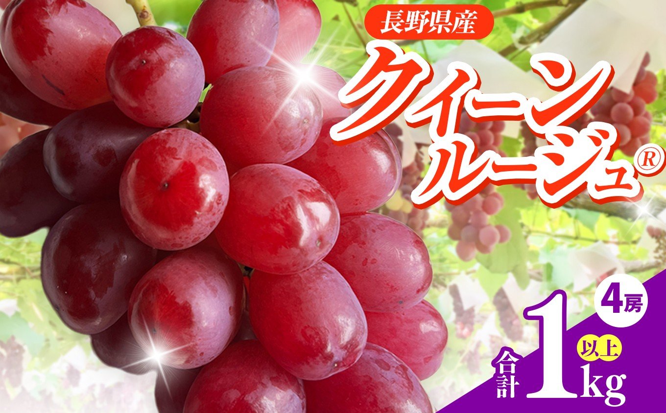 
            ぶどう 信州伊那産ぶどう クイーンルージュ(R) (1.0kg以上) 4房 | ぶどう 葡萄 クイーンルージュ® 種なし ぶどう高級 フルーツ ギフト フルーツ 旬のフルーツ 伊那市 長野県産 【014-49】
          