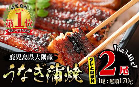 大隅特産うなぎ蒲焼２尾（340ｇ）【国産】 1386