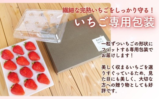 【３回定期便・２０２７年1月発送】完熟・朝摘みいちご 贈答用 400g｜糖度12度以上・専用個包装 M-FI-B08A