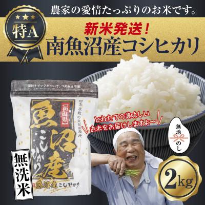 ふるさと納税 南魚沼市 無地のし 無洗米 令和7年産 南魚沼産 コシヒカリ 2kg (お米の炊き方ガイド付き)