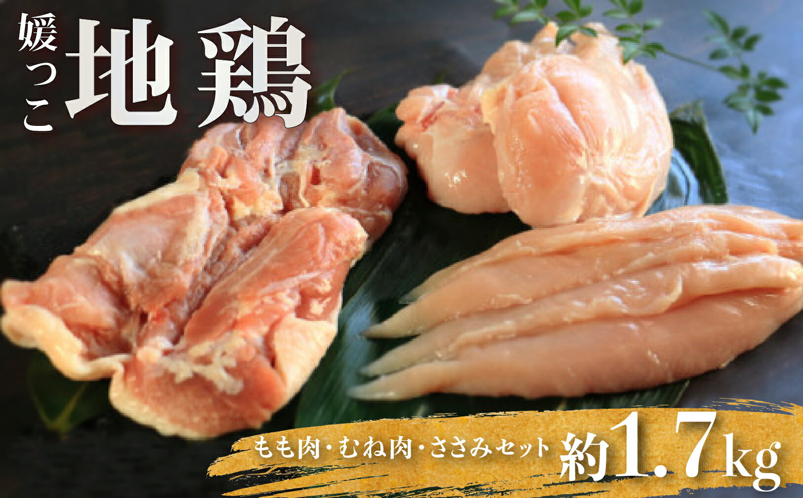 【ふるさと納税】 地鶏 愛媛 媛っこ地鶏 もも むね セット 約1700g 鶏肉 鳥肉 肉 チキン むね肉 もも肉 焼肉 焼き鳥 BBQ 冷凍 国産 糖質 唐揚げ チキン南蛮 サラダチキン スープ 出汁 ダイエット 愛南町 送料無料 ローカルスタンダード南蛮 サラダチキン スープ 愛南町