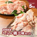 【ふるさと納税】【レビューキャンペーン対象】宮崎県産鶏 スペシャル鶏三昧5kgセット - 鶏もも肉 鶏むね肉 手羽元 総重量5キロ 鶏肉セット 唐揚げ/チキン南蛮/サラダチキン/煮物 3種類の部位 真空パック 送料無料【宮崎県木城町】