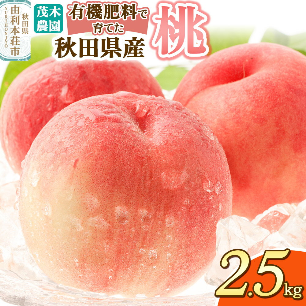【ふるさと納税】茂木農園 秋田県産 桃 2.5kg