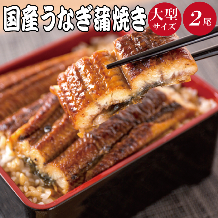 【大型サイズ】ふっくら柔らか 国産うなぎ蒲焼き 2尾/うなぎ ウナギ 鰻 うなぎ蒲焼 国産