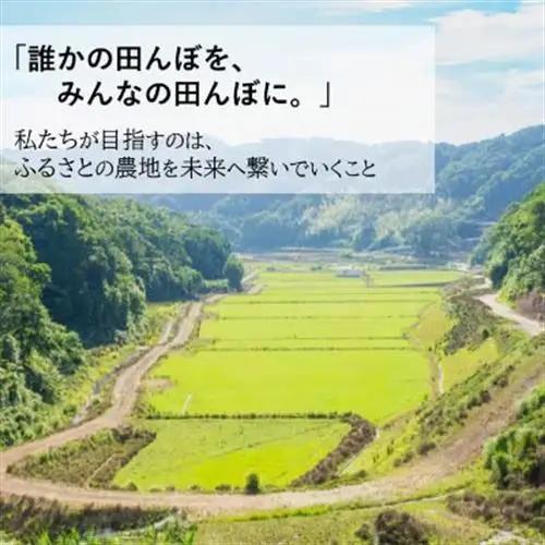 【令和8年産 新米】小浦れんげ米(にじのきらめき) 玄米 3kg【1780799】
