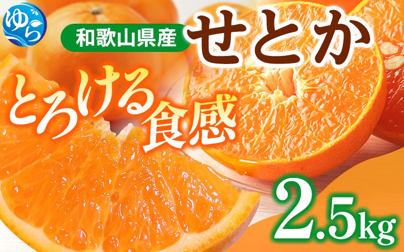 
                  紀州 有田産 せとか 2.5kg　とろける食感！ジューシー柑橘 みかん 和歌山 高級 甘い 2027年1月下旬頃～２月上旬頃発送予定【uot789】
                