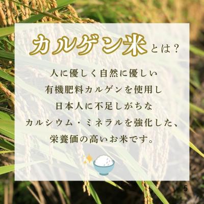 ふるさと納税 小松市 【定期便】令和7年産 こしひかりカルゲン米 5kg×3ヶ月(毎月) | 石川県 小松市 坂口農園 |  | 01