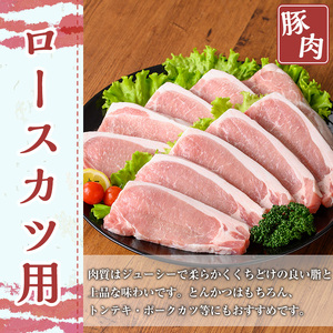 鹿児島県産豚肉セット(合計3.2kg) 鹿児島県産 冷凍 豚肉【TRINITY】A680