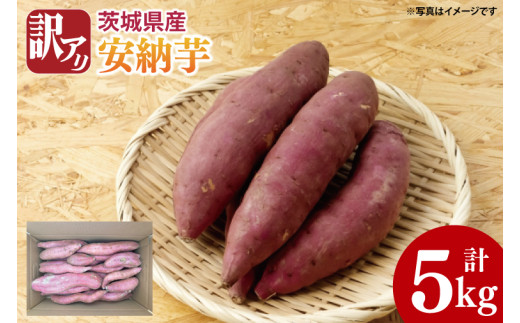 【先行予約】【10月中旬以降より順次発送】訳アリ 茨城県産安納芋 約5kg｜さつまいも 芋 サツマイモ 安納芋 訳あり わけあり 茨城県 取手市（AS004-1）