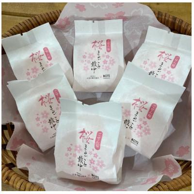 ふるさと納税 五泉市 ごせん桜　桜まるごと最中8個セット