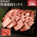 【ふるさと納税】博多和牛 特選焼肉 ミックス ロース カルビ モモ 300g 3種 和牛 牛肉 牛 お肉 焼き肉 焼肉 ミックス 国産 福岡県産 2人前 冷凍発送 送料無料