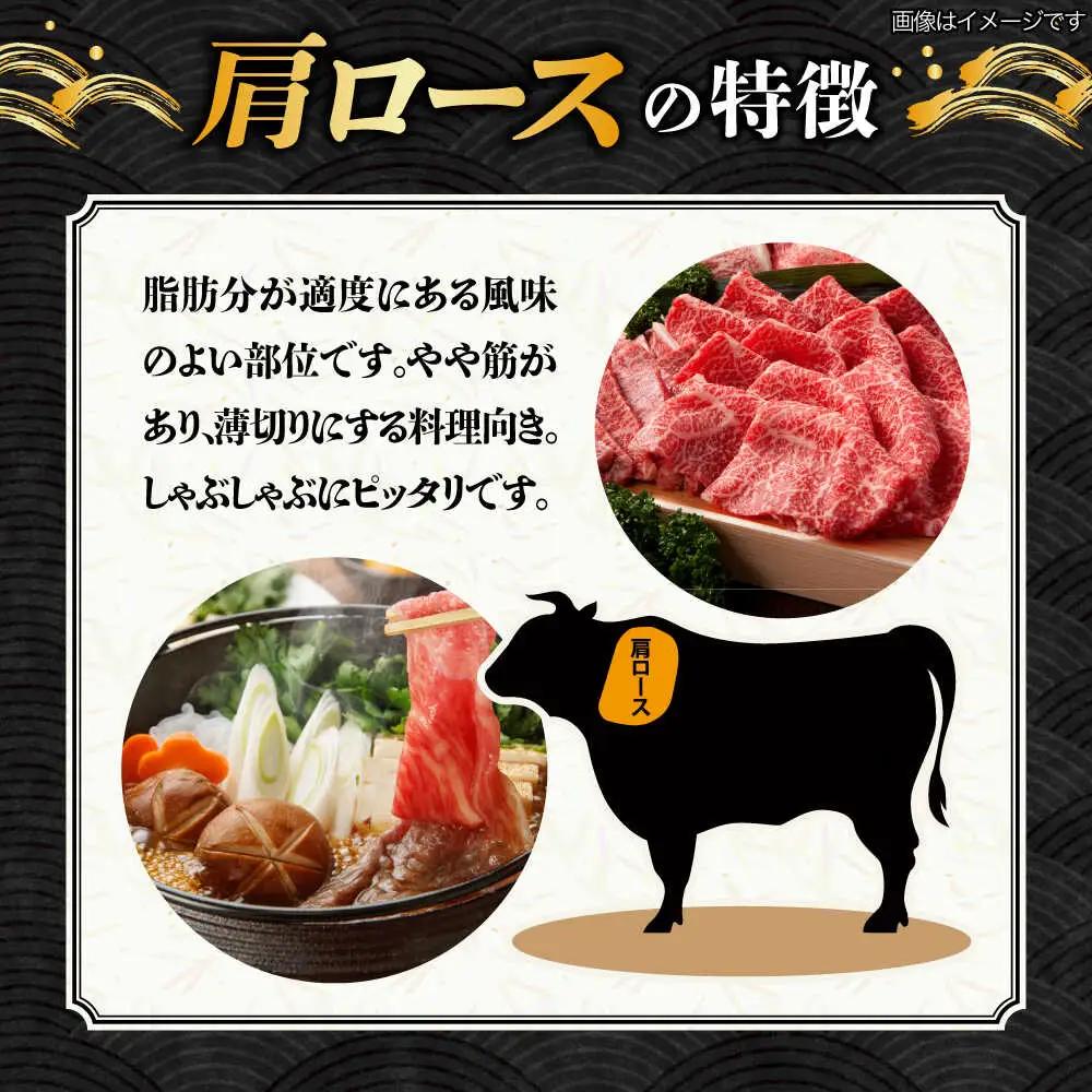 【12回定期便】【飛騨牛】A5等級 ロース 肩ロース しゃぶしゃぶ用 500g [TAZ026]A5