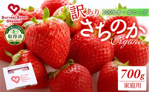 訳あり オーガニック いちご 700g 家庭用 《1月末から5月発送》 有機JAS認証 ORGANIC 甘い 苺 イチゴ 果物 フルーツ 産地直送 新鮮 ストロベリー ジャム スムージー 期間限定 徳島 無農薬 完全無農薬 人気 ギフト プレゼント 贈答用 ケーキ スイーツ いちご いちご いちご いちご いちご いちご