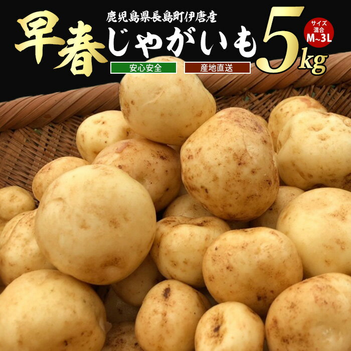 【ふるさと納税】【先行予約】＜数量・期間限定＞伊唐産早春じゃがいも(5kg)鹿児島県産 長島町 国産 九州産 ばれいしょ ジャガイモ 芋 いも ジャガバター ポテト サラダ 野菜 旬 赤土【旬感foods】horino-867