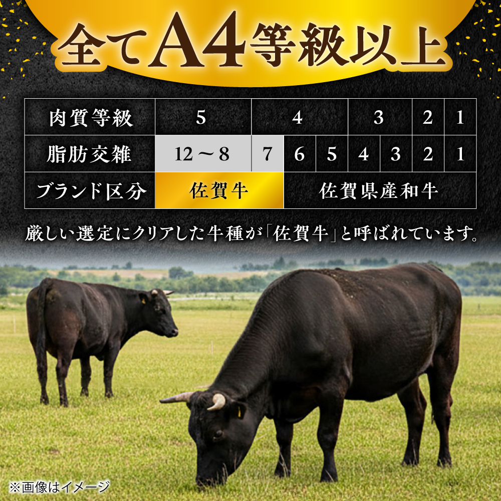 【全5回定期便/2ヵ月に1回 隔月にお届け】佐賀牛よくばりセット シャトーブリアン ヒレステーキ 各1,000g 総計5kg 吉野ヶ里町/やま田商店 [FCH010]