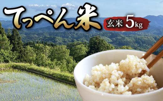 【令和8年産】 コシヒカリ 玄米 5kg 新米 先行予約 最高評価 食味ランクS 令和8年 こだわり 神子原 てっぺん米 お米 米 こめ おこめ こしひかり 予約 kome okome genmai gennmai げんまい ※ ご飯 ごはん R8 2026年産 おいしい 美味しい もっちり 甘み 神子原てっぺん米 神子原頂上米 石川県 能登 羽咋 支援 応援 ふるさと納税米 ふるさと納税玄米