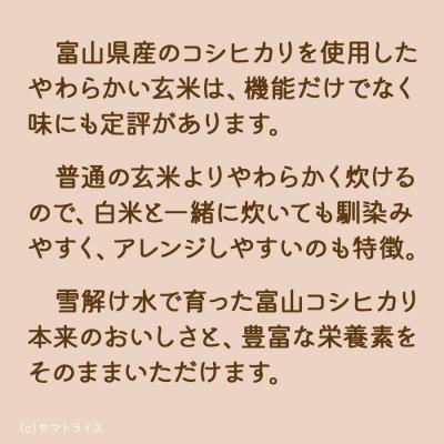 ふるさと納税 碧南市 やわらかい玄米 1.8kg(900g×2袋)　※6回定期便　　H074-649 |  | 01
