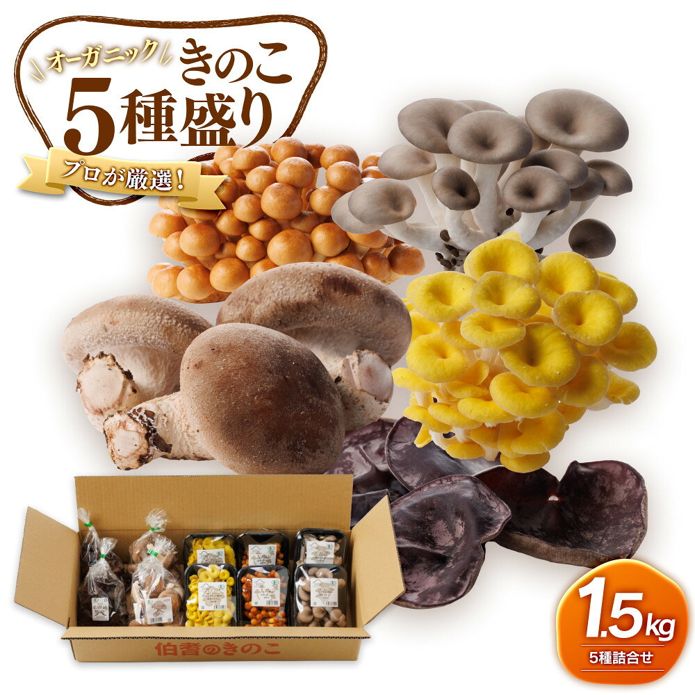 【ふるさと納税】プロが厳選！オーガニックきのこ5種盛り（1.5kg）