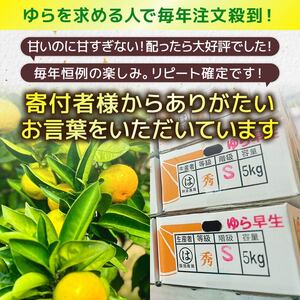 【10月中旬発送】みかん 5kg ２Sサイズ 極早生 みかん 安田町 HT-01
