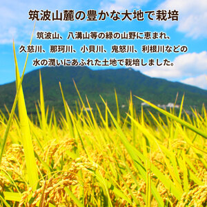 令和8年産茨城県産コシヒカリ・あきたこまち　精米　お米詰合せ　合計10kg (5kg×2袋) ※2026年9月～発送