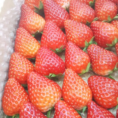【味が濃くて抜群に美味しい2品種食べ比べ】【スターナイトときらぴ香いちご】【大粒 18粒×2パック】【配送不可地域：離島・北海道・沖縄県・東北・中国・四国・九州】