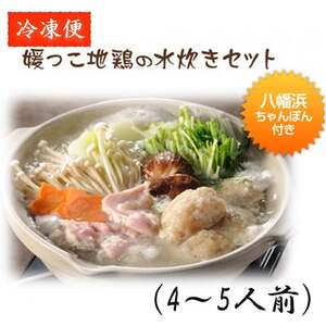 媛っこ地鶏の水炊きファミリー(4・5人前)セット【H17-6】【配送不可地域：離島】【1186427】