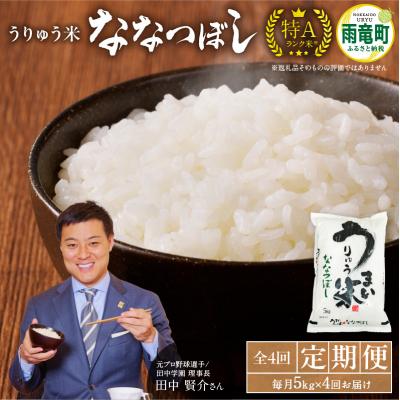 ふるさと納税 雨竜町 【定期便全4回】 うりゅう米 ななつぼし 5kg(5kg×1袋)毎月1回お届け 雨竜町