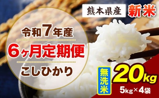 【6ヶ月定期便】令和7年産 定期便 こしひかり 20kg 新米 無洗米 阿蘇 うぶやま 米 定期便 熊本県産 ふるさと納税 精米 ひの 米 こめ ふるさとのうぜい コシヒカリ コメ お米 おこめ《お申込み翌月から出荷》