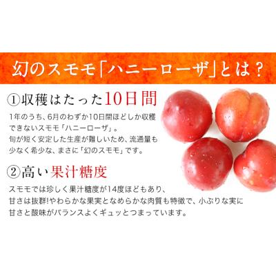 ふるさと納税 玉東町 ハニーローザをジャムに!コンフィチュールセット2個 玉東町《60日以内に出荷予定(土日祝除く)》 |  | 01