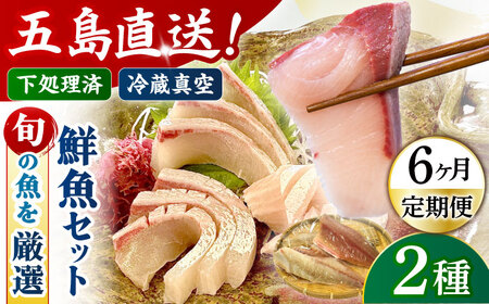 【全6回定期便】鮮魚ボックス 旬の魚2種 五島市/金沢鮮魚 [PEP010] 刺身 冷蔵 刺身 定期便 刺身 冷蔵 刺身 定期便