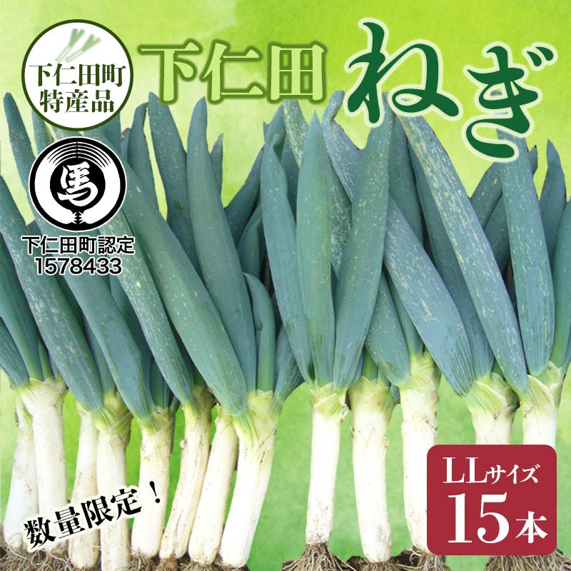【ふるさと納税】下仁田町特産「下仁田ねぎ」 LLサイズ 15本 大箱 とろける 甘い ねぎ ネギ 王様ねぎ 特産 栄養たっぷり ブランド 上州ねぎ すきやき F21K-580