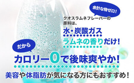 【全12回定期便】強炭酸水クオス ラムネフレーバー  / 炭酸 炭酸 炭酸 炭酸 炭酸 炭酸 / 500ml×24本 日田市 / 株式会社OTOGINO[AREF157]