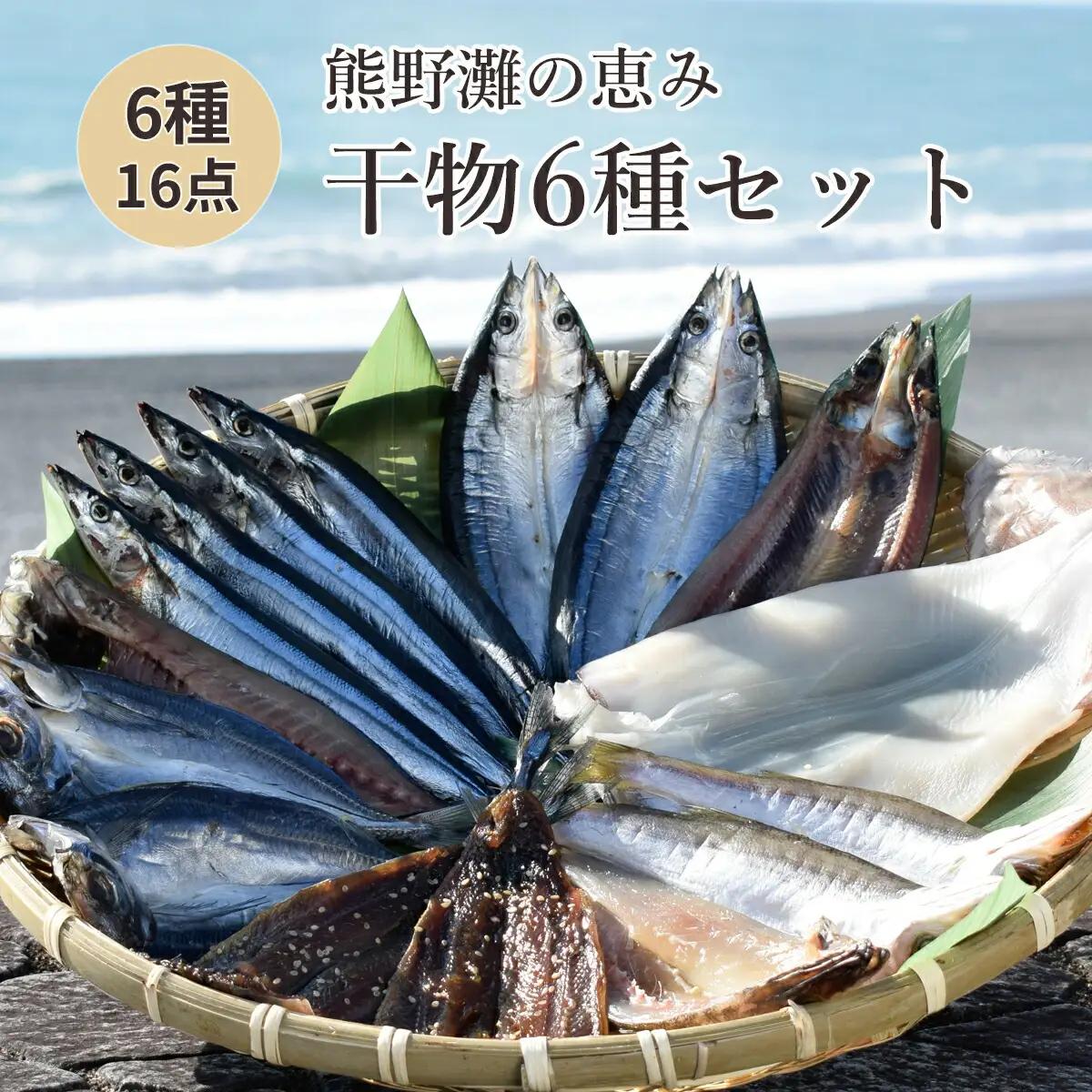 干物 詰め合わせ 6種 16点 松屋水産 干物【mtys0002】