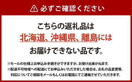 シャインマスカット 晴王 2房 約1.3kg 種無し  皮ごと食べる  フレッシュ  旬の美味しさ【2026年9月上旬-10月下旬 発送予定】【岡山県産 種無し 皮ごと食べる みずみずしい 甘い フレ