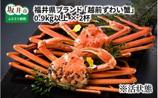 【先行予約】福井県ブランド ≪茹で≫「越前ズワイ蟹」 0.9kg以上 2杯 【2025年11月発送分】 [O-1404_11]