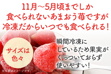 福岡県産【博多冷凍あまおう】 約1kg 産地直送 産直 朝採れ 朝採り 新鮮 瞬間冷凍 いちご イチゴ 苺 お取り寄せグルメ お取り寄せ 福岡 お土産 九州 福岡土産 取り寄せ グルメ 福岡県 ※北海