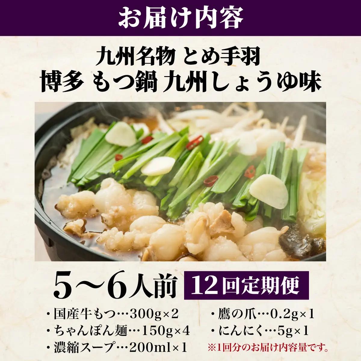 ＜定期便・全12回＞九州名物 とめ手羽 博多 もつ鍋セット 九州しょうゆ味 5-6人前