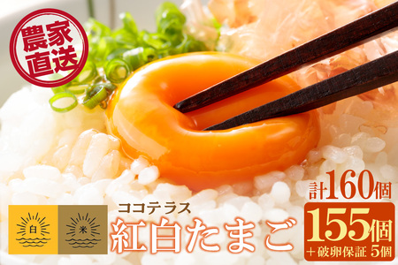 ココテラスの紅白たまご　155個 + 5個保証（計160個）【JGAP認証】 農家直送 新鮮 卵 タマゴ 赤卵 白卵 玉子 鶏卵 朝食 夕食 夜食 朝ごはん たまご焼き だし巻き卵 オムレツ 卵ご飯 料理 濃厚 飼料にこだわった 卵かけご飯 米たまご 生卵 大容量 お取り寄せ 愛知県 常滑市