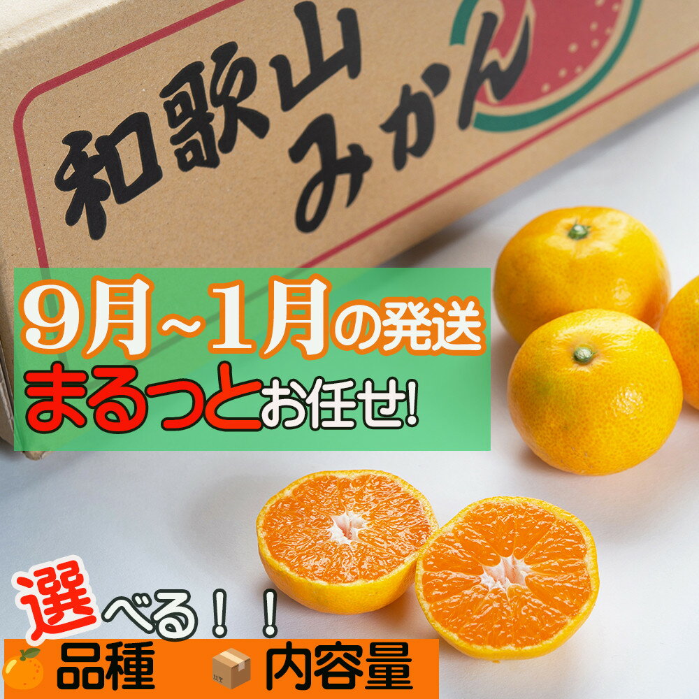 【ふるさと納税】【選べる種別・サイズ・内容量】 和歌山県 農園直送 みかん 《ご家庭用》ちょっと訳あり まごころ産直みかん ミカン 蜜柑 温州みかん わけあり 訳アリ 【北海道・沖縄県・一部離島 配送不可】