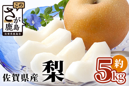 【2026年予約受付】佐賀県産 美味しい梨 約5kg | ふるさと納税 梨 なし 果物 フルーツ 果実 贈答用 お取り寄せ ギフト 国産 佐賀県産 佐賀県 鹿島市 ふるさと 人気 送料無料 おくりもの プレゼント B-875 豊水 新高 あきづき 秋月