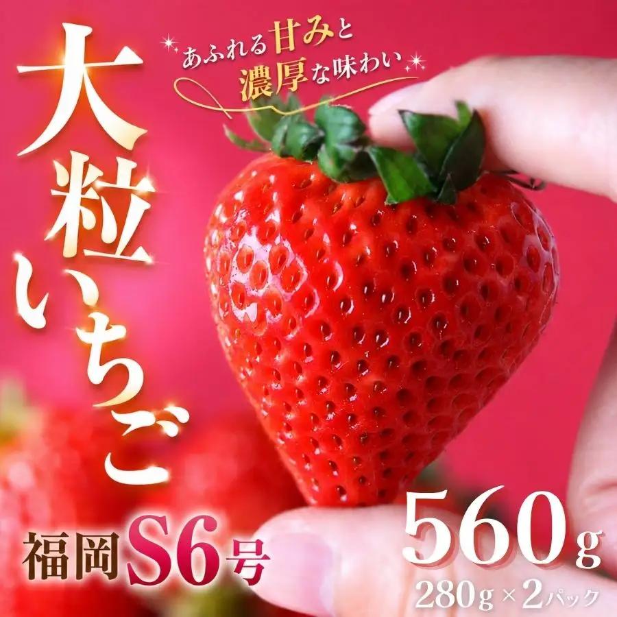いちご【2027年発送】福岡S6号 2パック×280g 完熟いちご