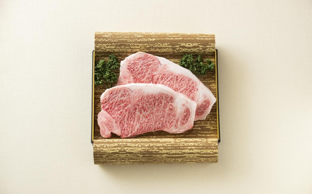 
長崎和牛サーロインステーキ2枚セット 合計500g （250g×2枚） ／ 国産 ソース付き ステーキ 肉 お肉 和牛
