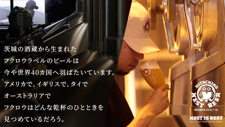 常陸野ネストビール ハニーヴァイツェン 入り 飲み比べ 4種 12本セット D 2025年11月中旬発送開始 クラフトビール ネストビール 木内酒造 飲み比べ はちみつ 限定 [CJ006sa]