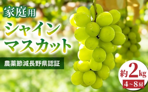 【先行受付2025年発送】家庭用シャインマスカット2㎏（4~8房）農薬節減長野県認証｜東御こもだ果樹園  ※2025年9月下旬~10月下旬に発送予定