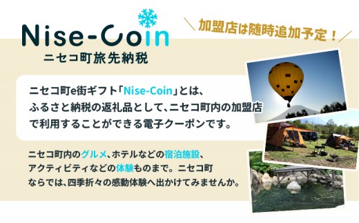 ニセコ町e街ギフト Nise-Coin 900,000円分